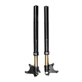 Horquilla Ohlins FGRT 301 - Ducati Diavel