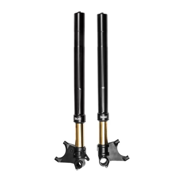 Gabel Ohlins FGRT 301 - Ducati Diavel