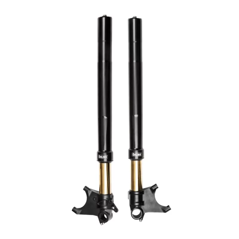 Fork Ohlins FGRT 301 - Ducati Diavel Fork Ohlins FGRT 301 - Ducati Diavel