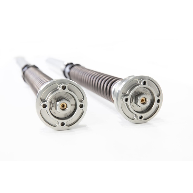 Cartuccia Ohlins FKR 129 - Ducati V4 R Panigale (fork Ohlins FL 2402)