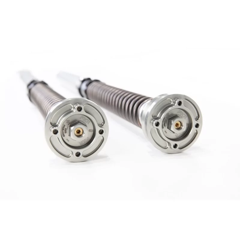 Cartucho Ohlins FKR 229 - Ducati V4 S Panigale (fork Ohlins FL 2201) Cartucho Ohlins FKR 229 - Ducati V4 S Panigale (fork Ohlins FL 2201)