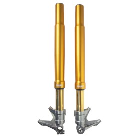 Forcella Ohlins FGRT 308 - Harley-Davidson CVO Street / Road Glide