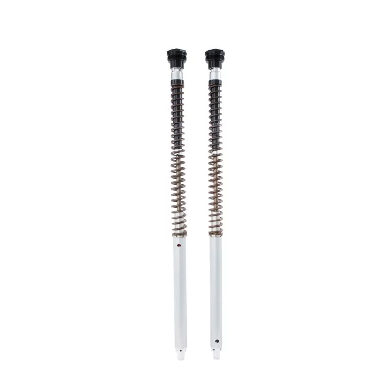 Cartouche Ohlins FKA 119 - Harley-Davidson Pan America 1250 (fork Show