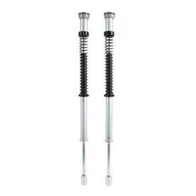 Cartridge kit Ohlins FKS 221 - Harley-Davidson Softail Breakout