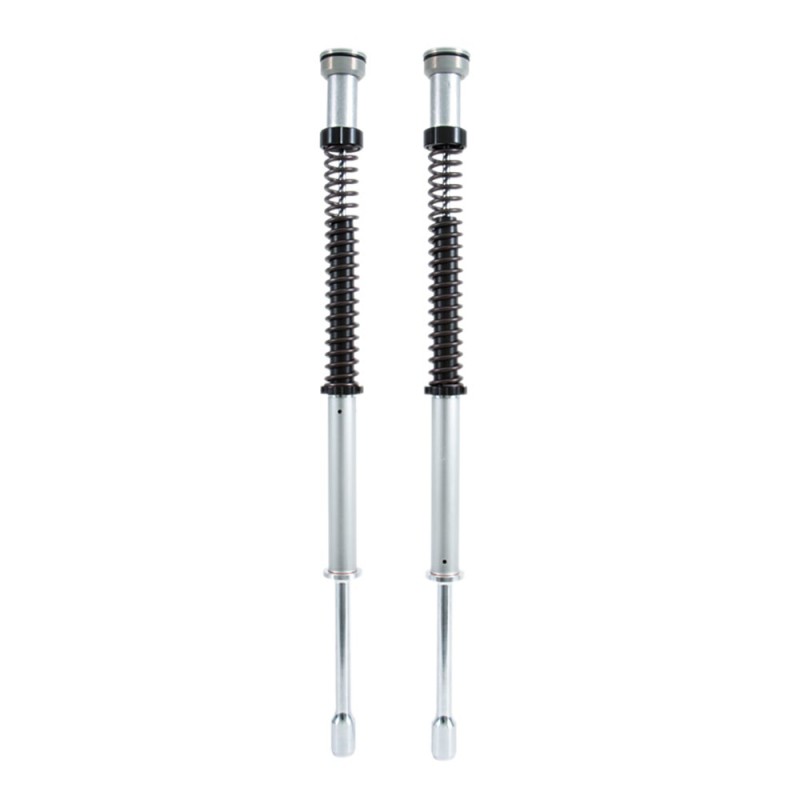 Cartuccia Ohlins FKS 206 - Harley-Davidson Sportster XL1200N Nighster Cartuccia Ohlins FKS 206 - Harley-Davidson Sportster XL1200N Nighster