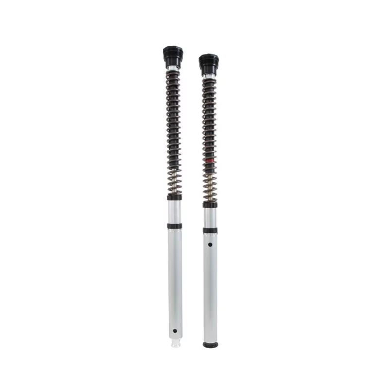 Cartucho Ohlins FKS 531 - Honda CB 750 Hornet Cartucho Ohlins FKS 531 - Honda CB 750 Hornet