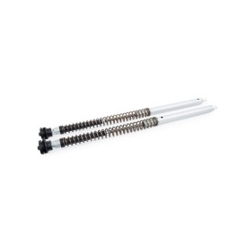 Cartuccia Ohlins FKA 121 - Honda CRF 300L (EU version)