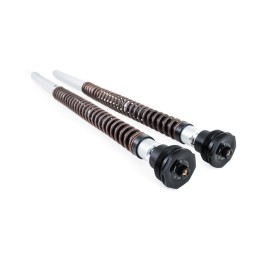 Cartuccia Ohlins FKA 225 - Husqvarna Norden 901