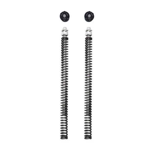 Fork Ohlins FDK 106 - Kawasaki Z 125