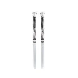 Cartouche Ohlins FKR 107 - Kawasaki ZX 6 R
