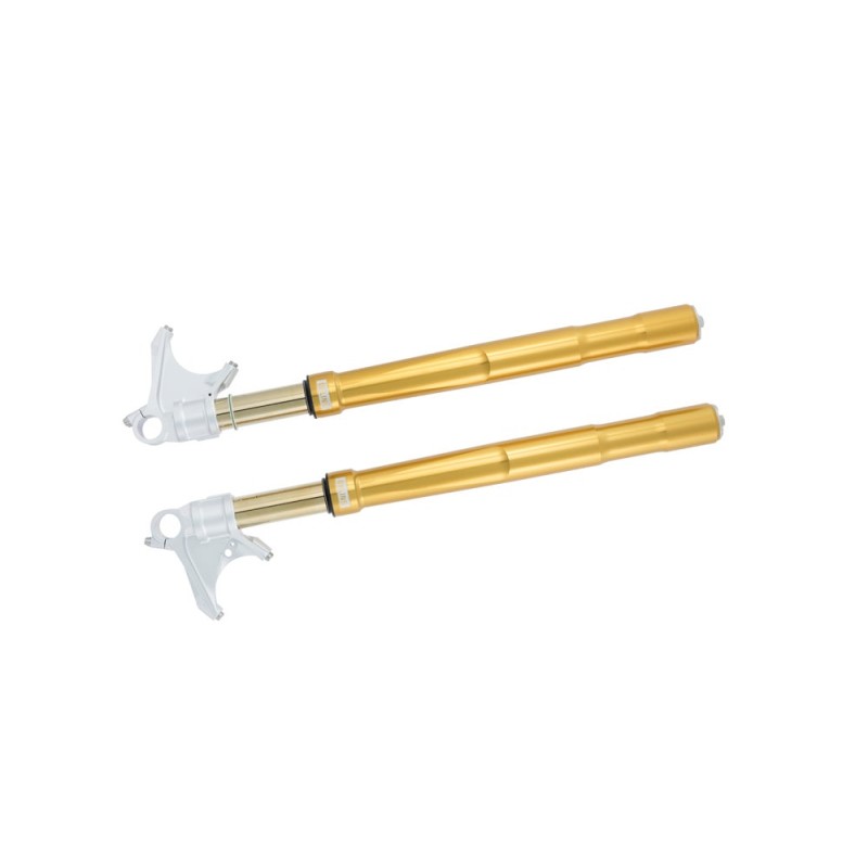 Forcella Ohlins FGRT 243 - Suzuki GSX 1300 R Hayabusa Forcella Ohlins FGRT 243 - Suzuki GSX 1300 R Hayabusa