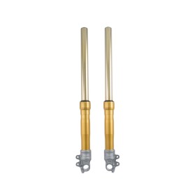 Forcella Ohlins FG 620 - Triumph Bonneville **
