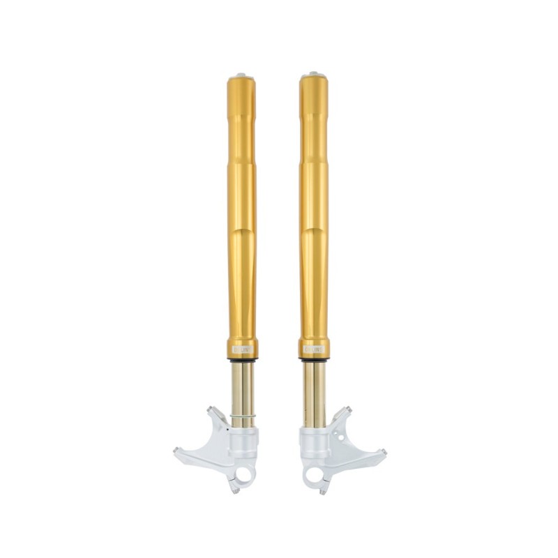 Forcella Ohlins FGRT 219 - Yamaha MT-10 Forcella Ohlins FGRT 219 - Yamaha MT-10