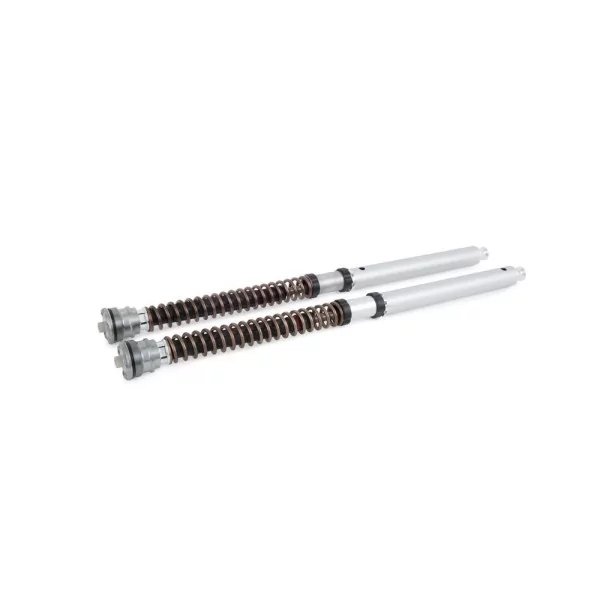 Cartridge kit Ohlins FGK 244 - Yamaha YZF R9