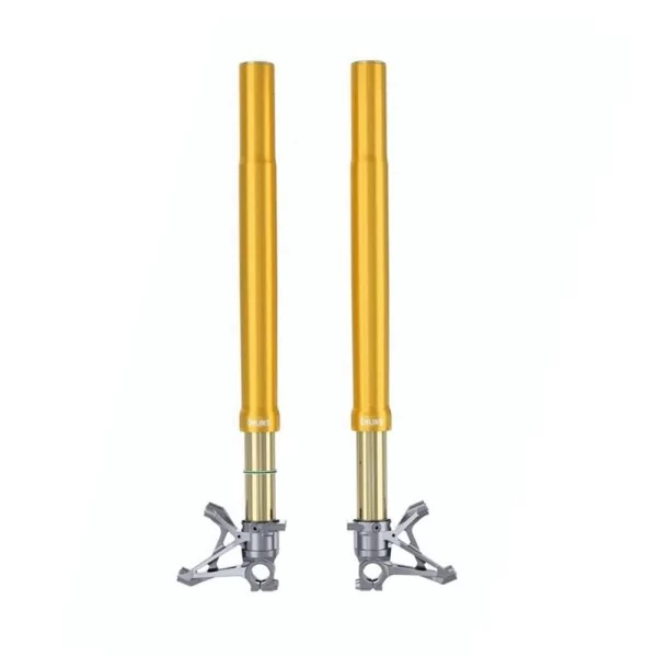Gabel Ohlins FG 434 - Universal RWU 43*