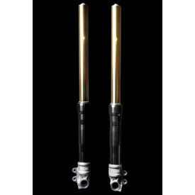 Forcella Ohlins FG 631 - Universal Conventional