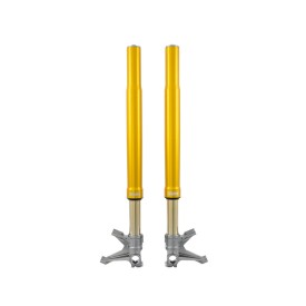 Forcella Ohlins FGR 300 - Superbike *