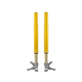 Forcella Ohlins FGR 300 - Superbike *