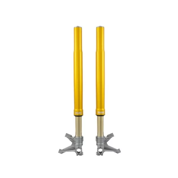 Horquilla Ohlins FGR 300 - Superbike *