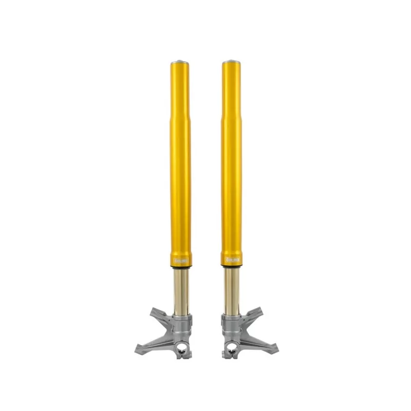 Horquilla Ohlins FGR 300 - Superbike * Horquilla Ohlins FGR 300 - Superbike *