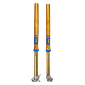 Forcella Ohlins FFX 2201 - Gas Gas MC 250F