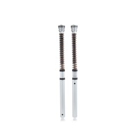 Cartuccia Ohlins FGK 212 - BMW HP4