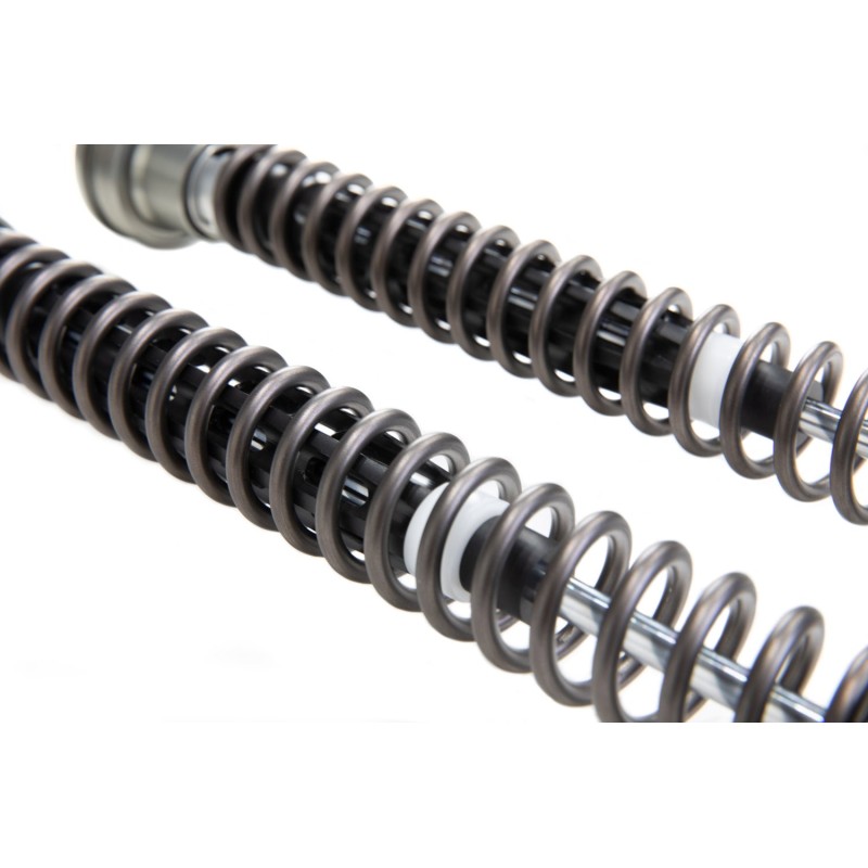 Cartuccia Ohlins FKR 222 - BMW M 1000 RR Cartuccia Ohlins FKR 222 - BMW M 1000 RR