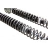 Cartuccia Ohlins FKR 222 - BMW M 1000 RR