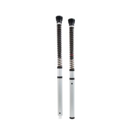 Cartuccia Ohlins FKS 501 - Ducati Scrambler 800