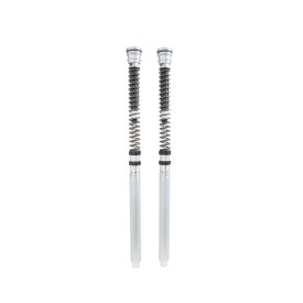 Cartuccia Ohlins FKR 120 - Triumph Daytona Moto 2 765 R (fork FL 965)
