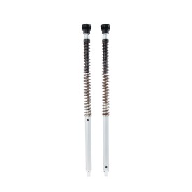 Cartuccia Ohlins FKA 113 - Triumph Scrambler 1200 XE