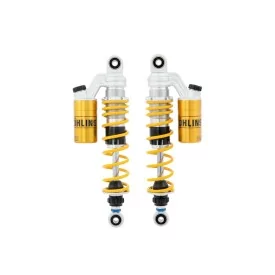 Federbein Ohlins TR 313 - Triumph Speed Twin 900