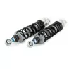 Federbein Ohlins TR 623 - Triumph Street Cup