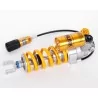 Federbein Ohlins AG 1406 - MV Agusta RIVALE 800
