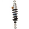 Ammortizzatore Ohlins AG 1824.21 - BMW R nine T Scrambler / URBAN G/S