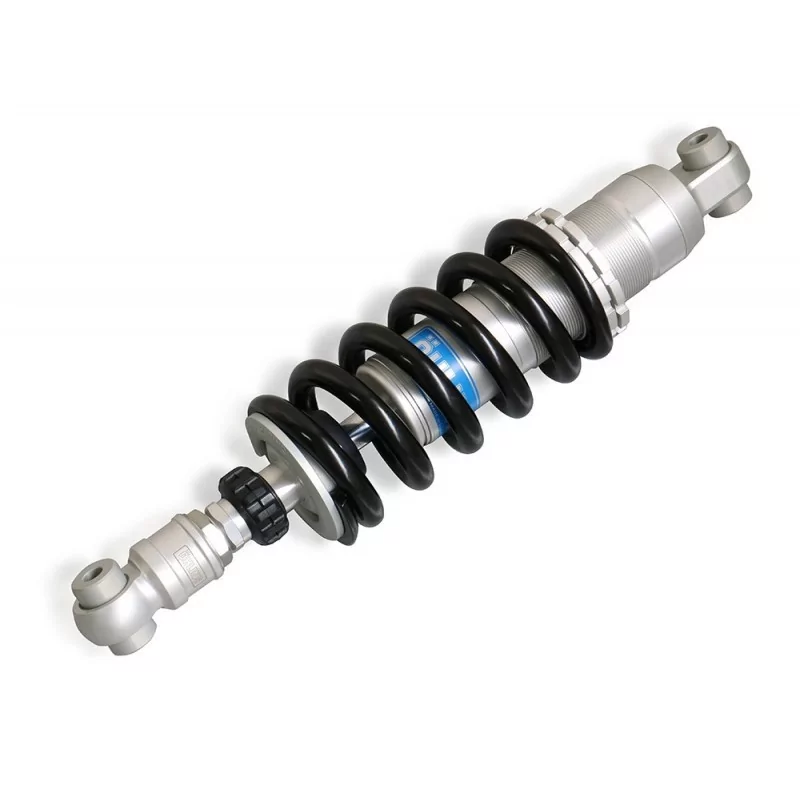 Federbein Ohlins AG 2422 - BMW R 12 NineT