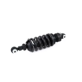 Federbein Ohlins BM 491 - BMW R nine T Scrambler / URBAN G/S