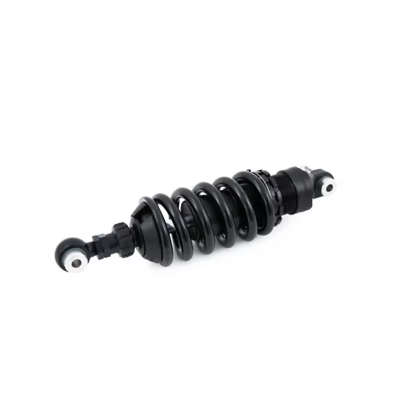 Ammortizzatore Ohlins BM 491 - BMW R nine T Scrambler / URBAN G/S