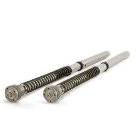 Cartuccia Ohlins FGK 231 - BMW R nine T