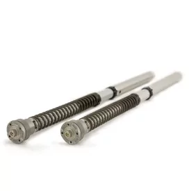Cartuccia Ohlins FGK-AG 250 - MV Agusta F3
