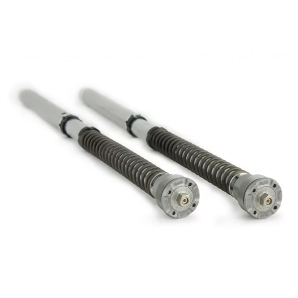 Cartouche Ohlins FGK-AG 252 - Yamaha YZF R1-M
