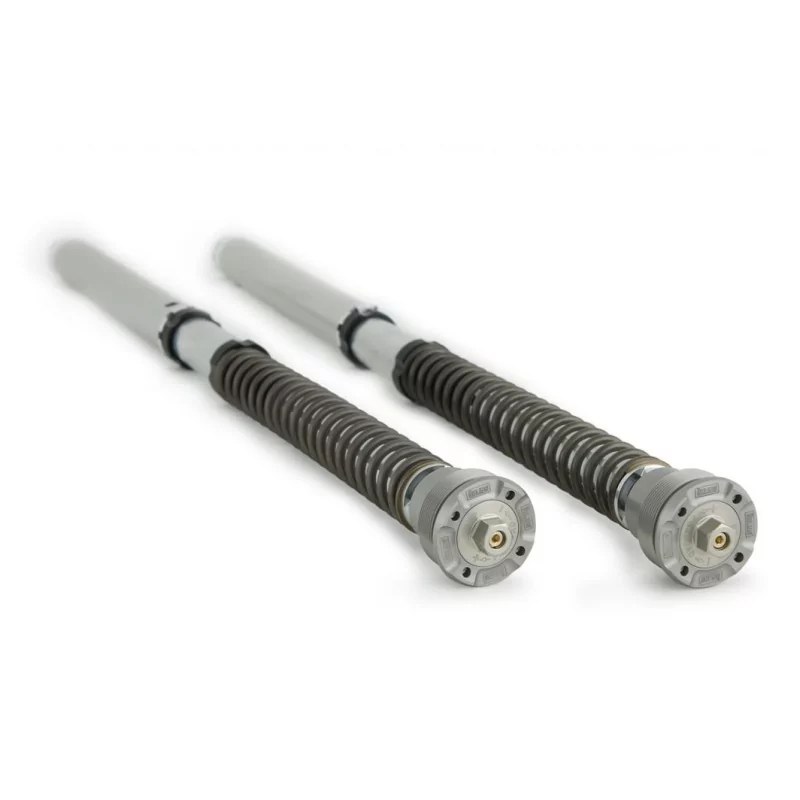 Cartouche Ohlins FGK-AG 252 - Yamaha YZF R1-M Cartouche Ohlins FGK-AG 252 - Yamaha YZF R1-M