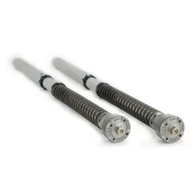 Cartridge kit Ohlins FGK-AG 254 - Aprilia RSV 4