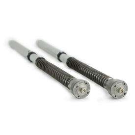 Cartuccia Ohlins FGK-AG 254 - Aprilia Tuono
