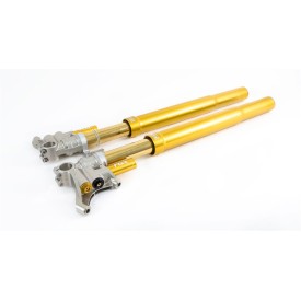Forcella Ohlins FGR 301 - Superbike *