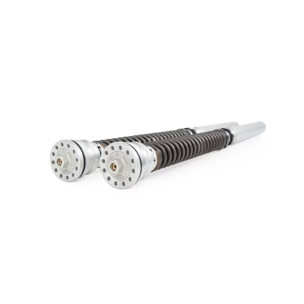 Cartridge kit Ohlins FKR 109 - Honda CBR 1000 RR SP (fork FL 910/926)