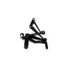 Pedane Arretrate Valter Moto Tipo 1 (Cambio Standard) - Kawasaki ZX 6-636R/RR 98-02