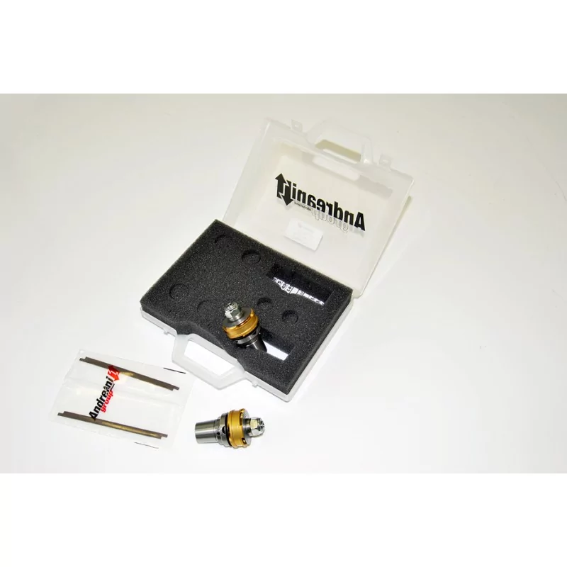 Piston Kit Aprilia Tuono V4 R Andreani 409/A05 Piston Kit Aprilia Tuono V4 R Andreani 409/A05