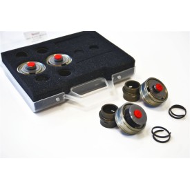Kit Pistoni BMW S 1000 RR Andreani 409/W02