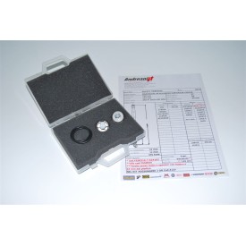 Kit Pistoni Ducati 1199 Panigale Andreani 409/D04